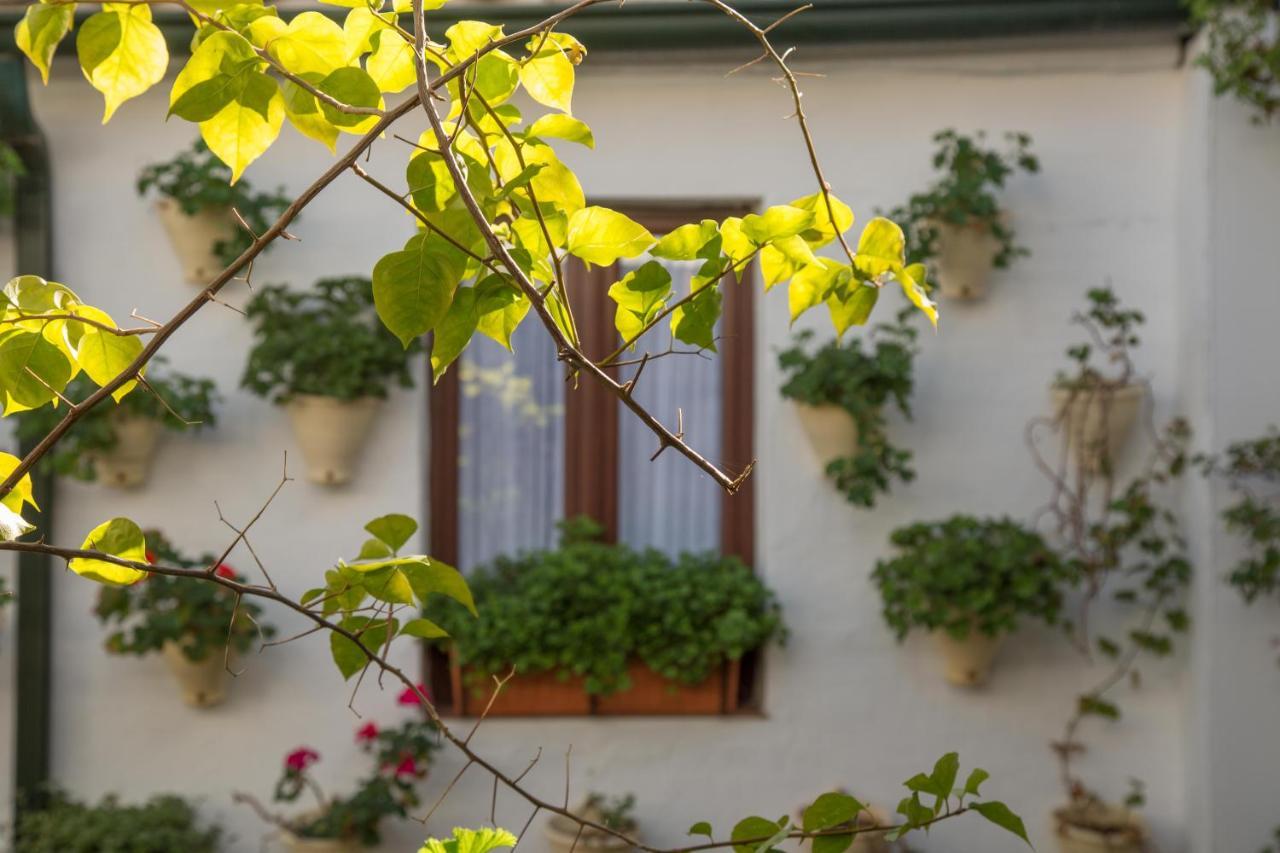 La Sultana Apartamentos Cordoba Exterior photo